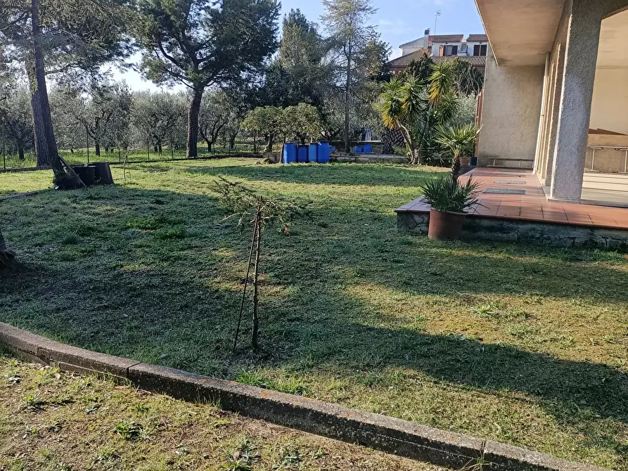 Immagine 29 di Casa indipendente in vendita  a Monteprandone