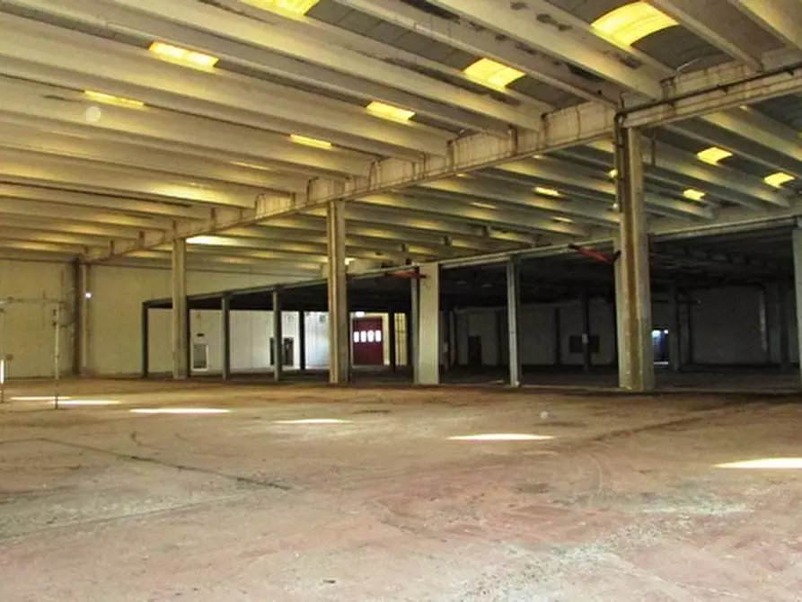 Immagine 25 di Capannone industriale in affitto  a Colonnella