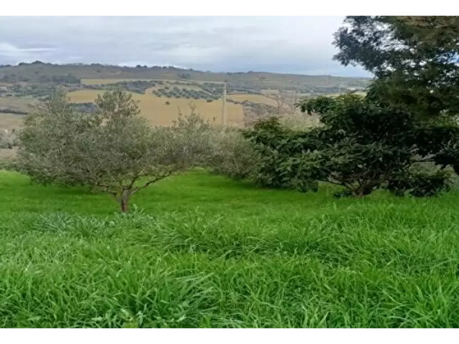 Immagine 15 di Casa indipendente in vendita  a San Benedetto Del Tronto