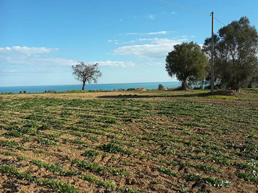 Immagine 13 di Terreno agricolo in vendita  a Cupra Marittima