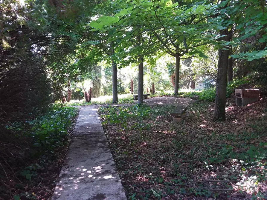 Immagine 31 di Terreno edificabile in vendita  a Tortoreto