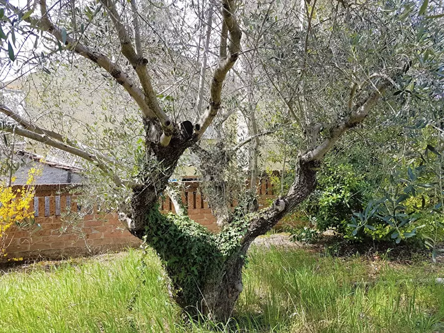 Immagine 20 di Villa in vendita  a Campli