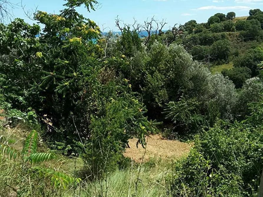Immagine 9 di Casa indipendente in vendita  a Cupra Marittima