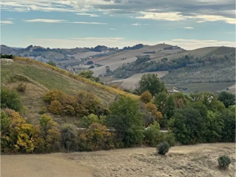 Immagine 7 di Rustico / casale in vendita  a Carassai