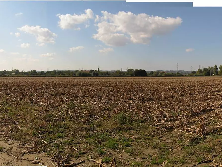 Immagine 6 di Terreno agricolo in vendita  a Falconara Marittima