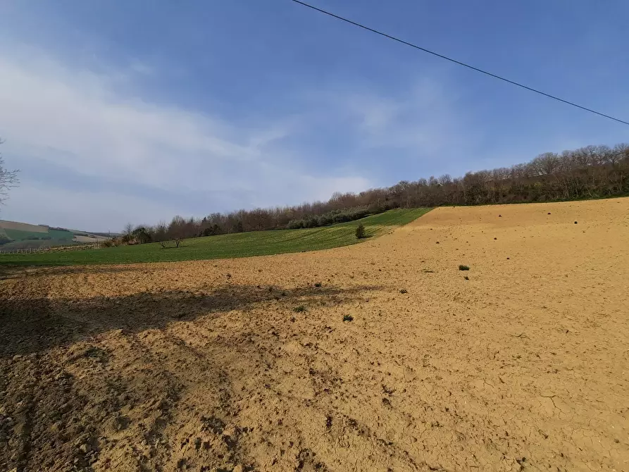 Immagine 29 di Casa indipendente in vendita  a Ripatransone