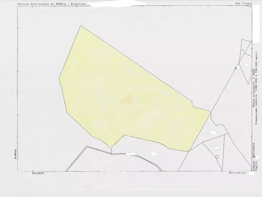 Immagine 22 di Terreno agricolo in vendita  a Mattinata