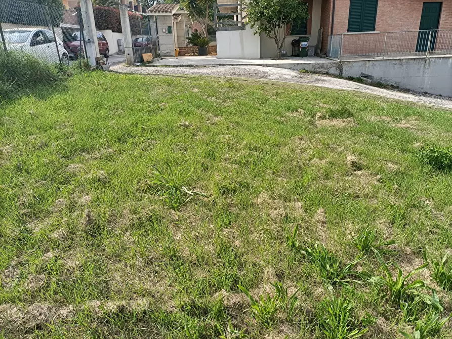 Immagine 9 di Terreno edificabile in vendita  a Acquaviva Picena