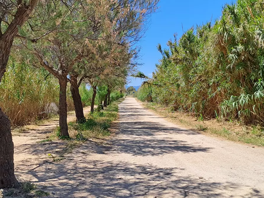 Immagine 21 di Terreno agricolo in vendita  a Quartu Sant'elena