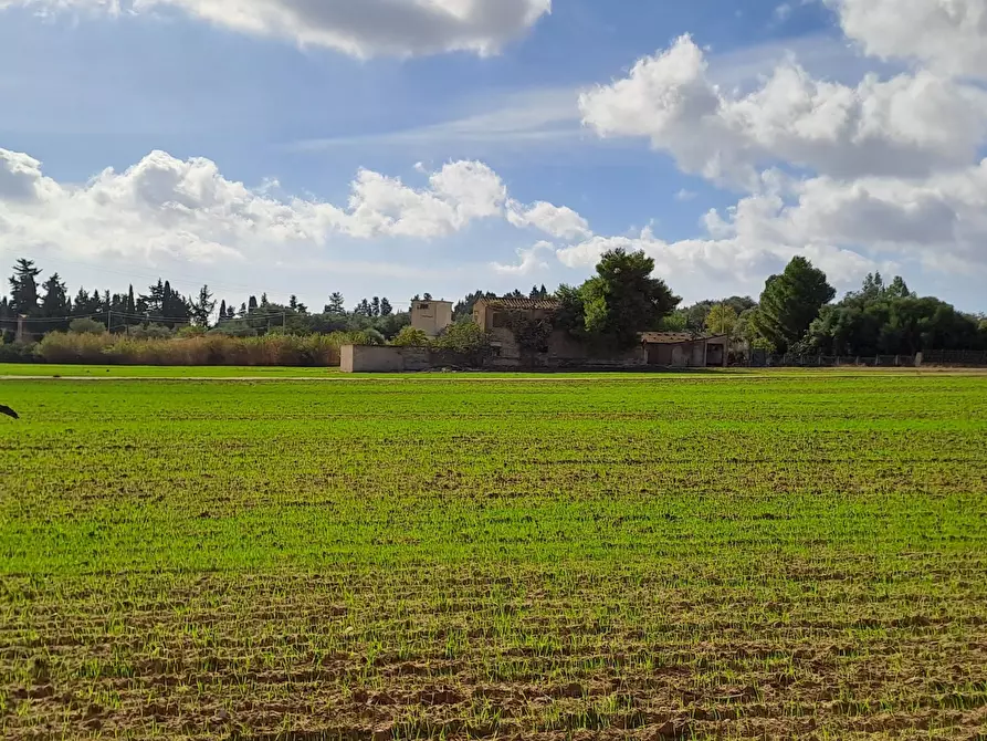 Immagine 32 di Casa indipendente in vendita  a Quartucciu