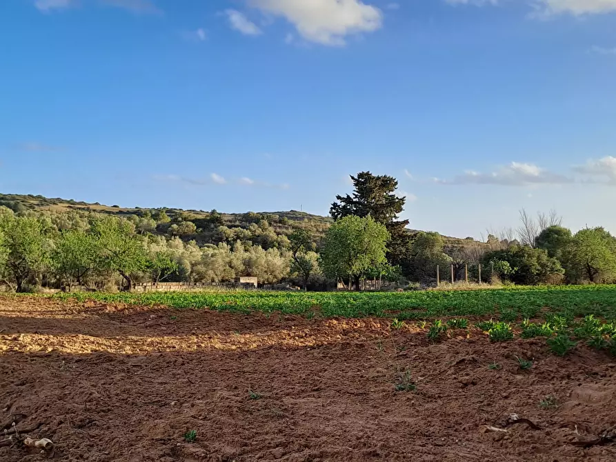 Immagine 23 di Terreno agricolo in vendita  in Via dei Gladioli a Quartucciu