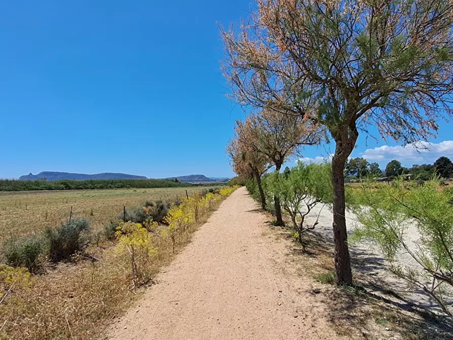 terreno agricolo in vendita a Quartu Sant'Elena
