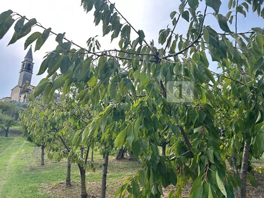 Immagine 15 di Terreno agricolo in vendita  in Via Castellaro a Castegnero