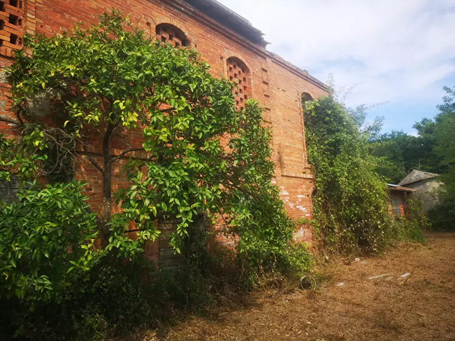 Immagine 8 di Rustico / casale in vendita  in Via Tavolara 59 a Castelnuovo Magra