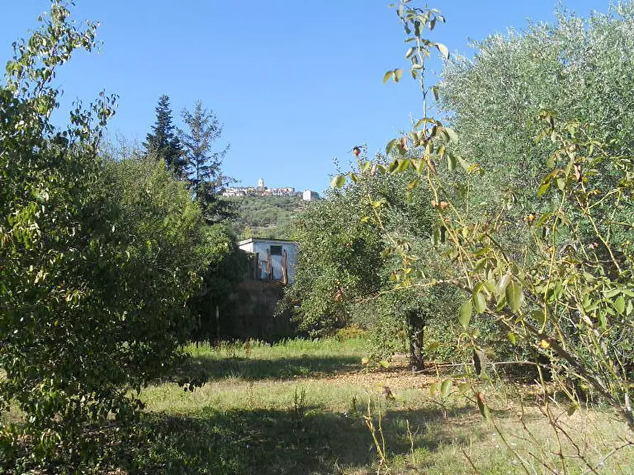 Immagine 80 di Rustico / casale in vendita  a Castelnuovo Magra