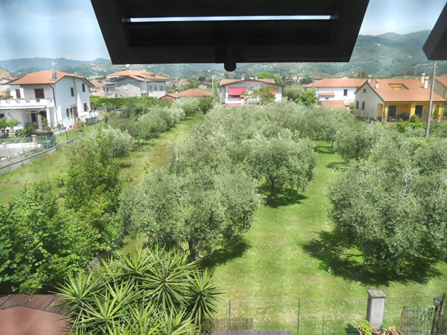 Immagine 42 di Terratetto in vendita  in Via Nerchia 23 a Sarzana