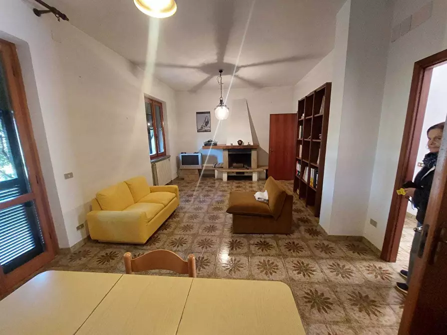 immagine annuncio 0 di 15