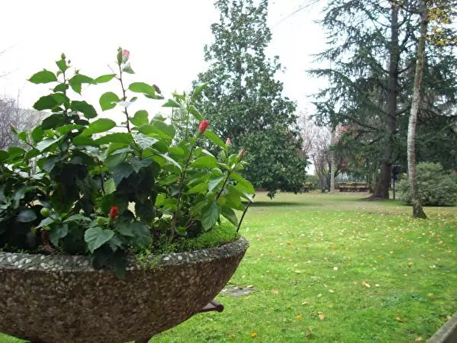 Immagine 2 di Appartamento in affitto  a Bologna