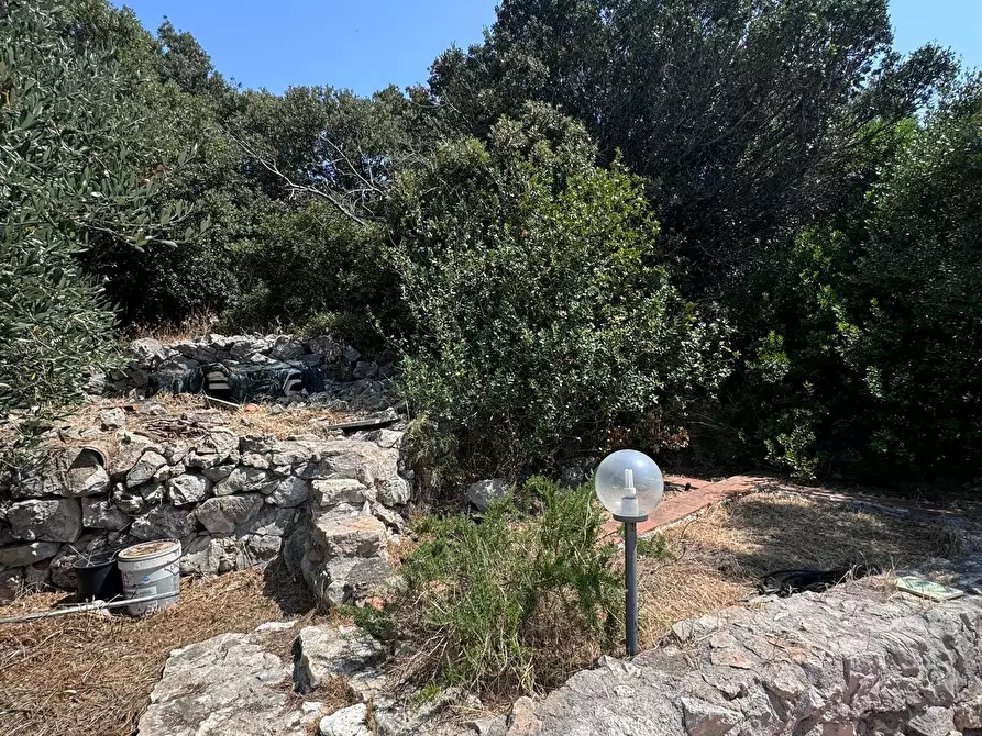 Immagine 9 di Casa indipendente in affitto  in Via Monticchio 2 a San Felice Circeo