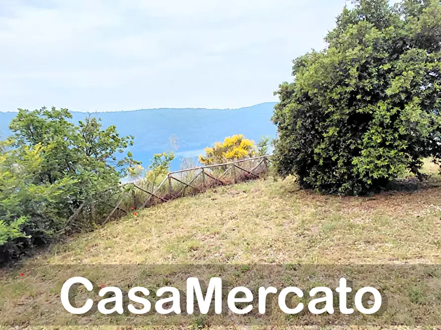 Immagine 9 di Terreno agricolo in vendita  a Rocca Di Papa