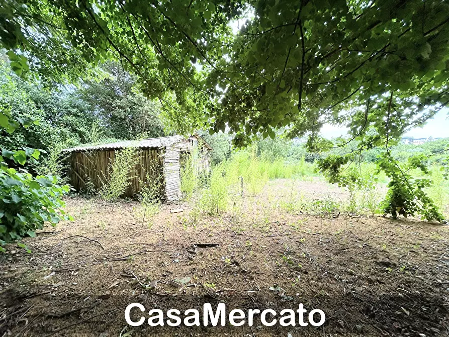Immagine 7 di Rustico / casale in vendita  a Grottaferrata