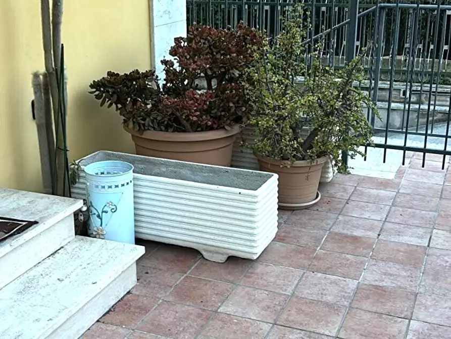 Immagine 31 di Appartamento in affitto  a San Benedetto Del Tronto