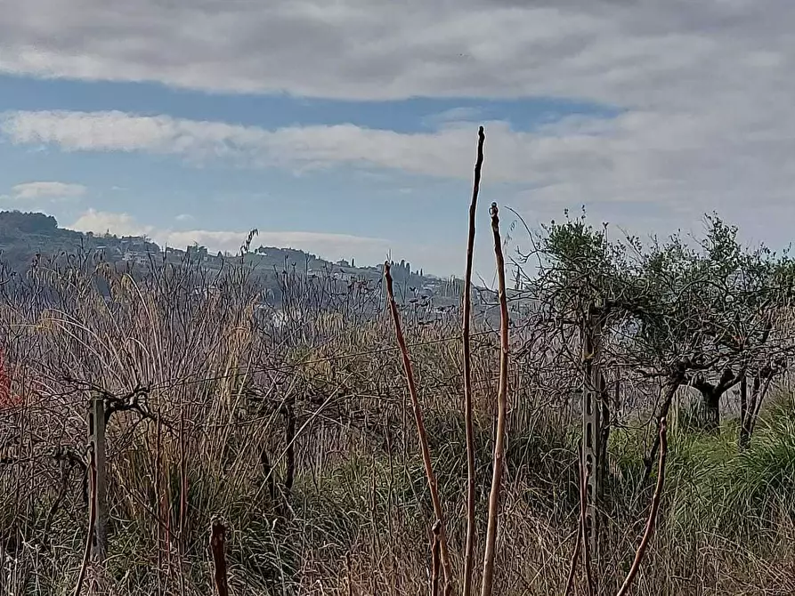 Immagine 22 di Rustico / casale in vendita  a San Benedetto Del Tronto