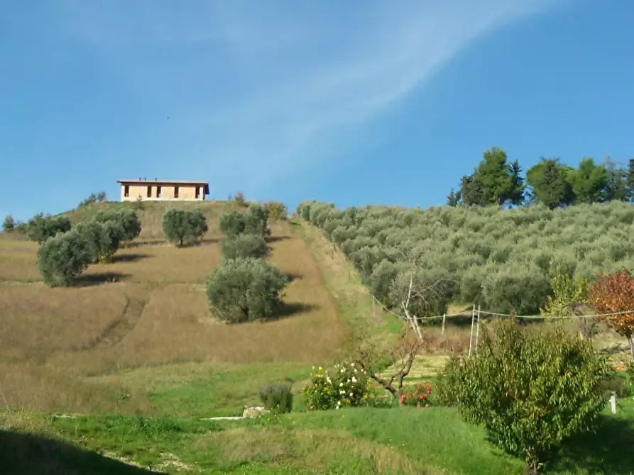 Immagine 1 di Casa indipendente in vendita  a Offida