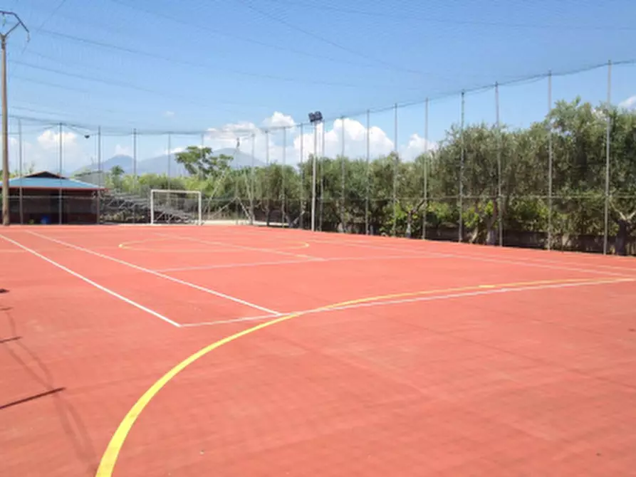 Immagine 8 di Albergo/B&B/Residence in vendita  a Grisolia