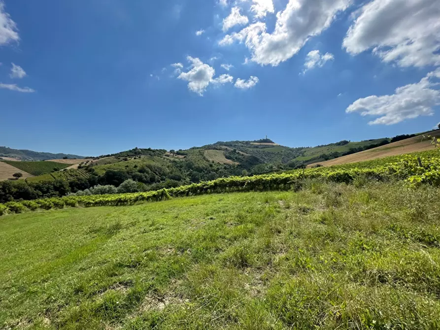 Immagine 19 di Rustico / casale in vendita  a Ripatransone