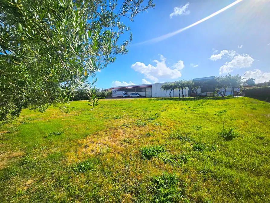 Immagine 4 di Capannone industriale in vendita  a Roma