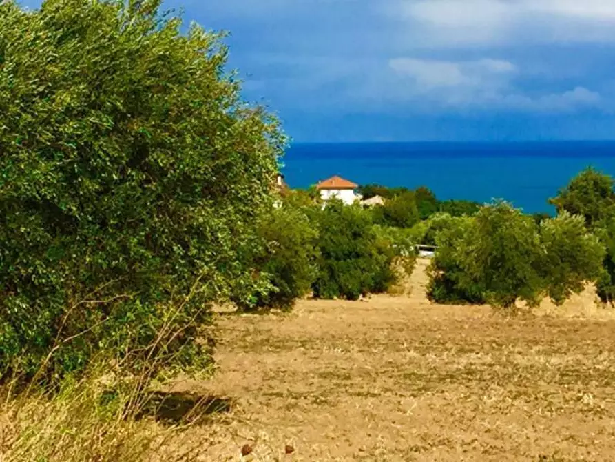 Immagine 4 di Terreno agricolo in vendita  a Cupra Marittima