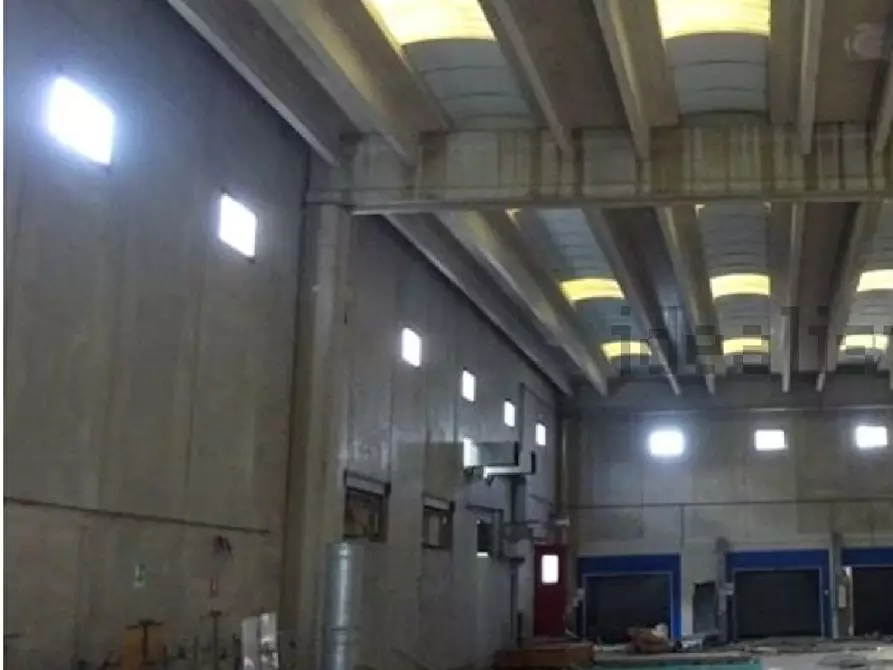 Immagine 9 di Capannone industriale in vendita  a Colonnella