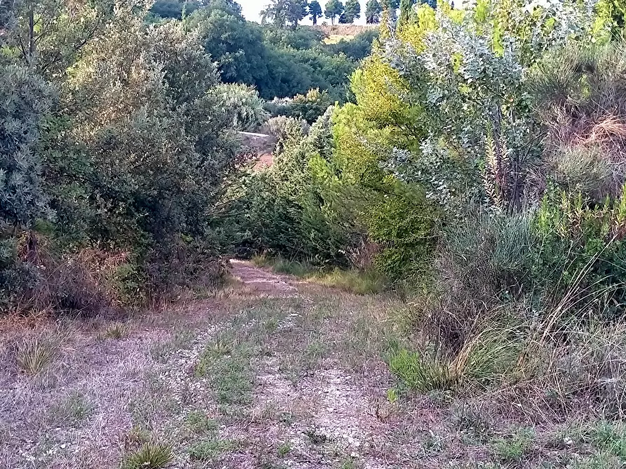 Immagine 13 di Casa indipendente in vendita  a Monterubbiano