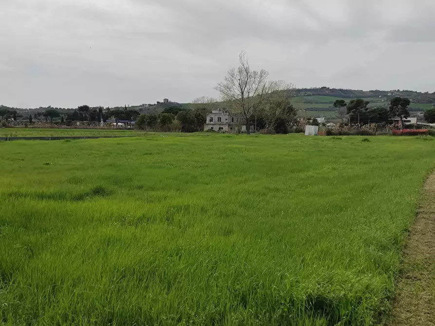 Immagine 3 di Terreno industriale in vendita  a Martinsicuro