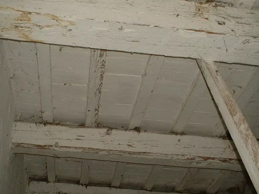 Immagine 21 di Casa indipendente in vendita  a Fermo