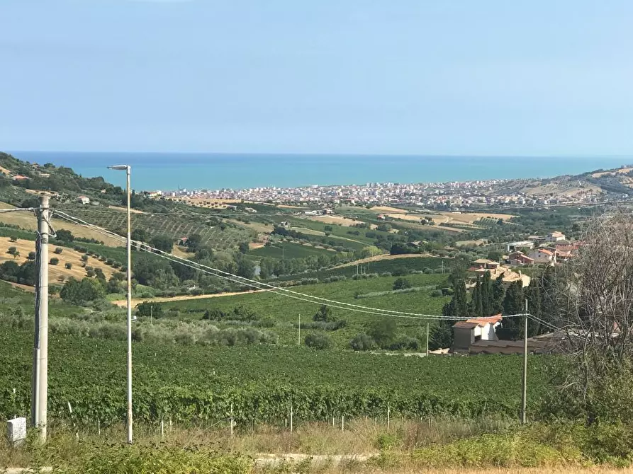 Immagine 11 di Terreno edificabile in vendita  a Colonnella