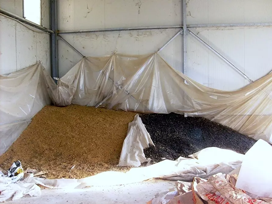 Immagine 7 di Azienda agricola in vendita  in periferia a Petritoli