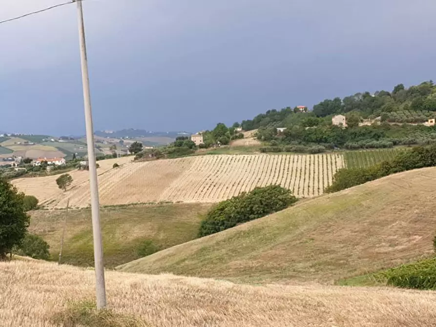 Immagine 5 di Terreno agricolo in vendita  a Carassai