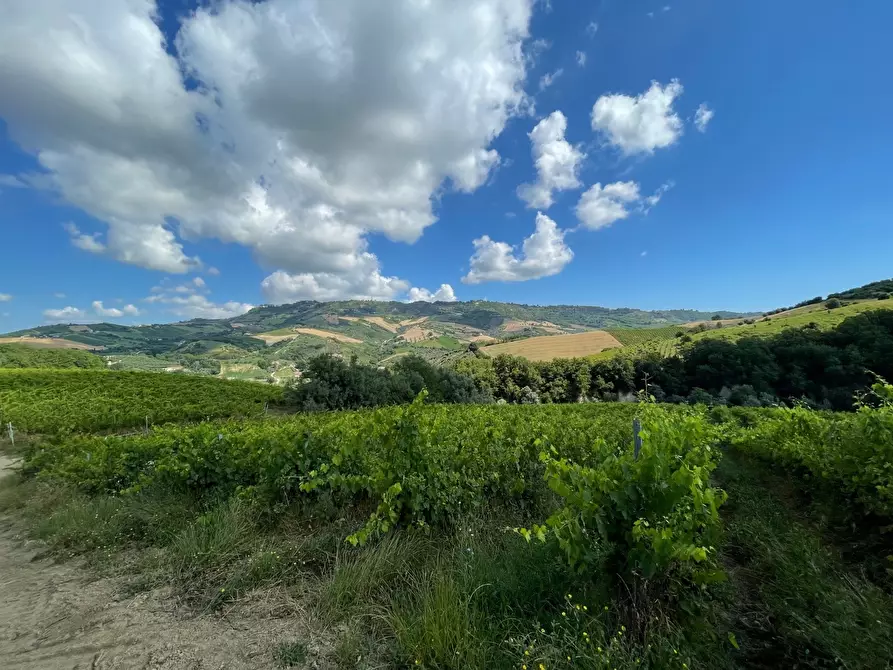 Immagine 12 di Rustico / casale in vendita  a Ripatransone