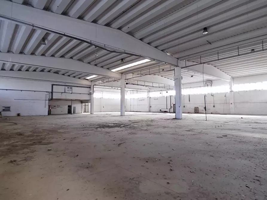 Immagine 9 di Capannone industriale in vendita  in via dell'industria 5-7 a Castelplanio