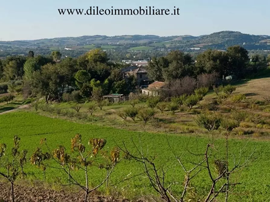 Immagine 17 di Rustico / casale in vendita  a Pesaro