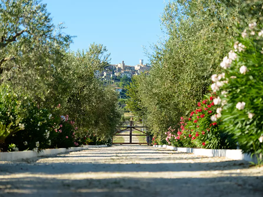 Immagine 15 di Casa indipendente in vendita  a Colonnella
