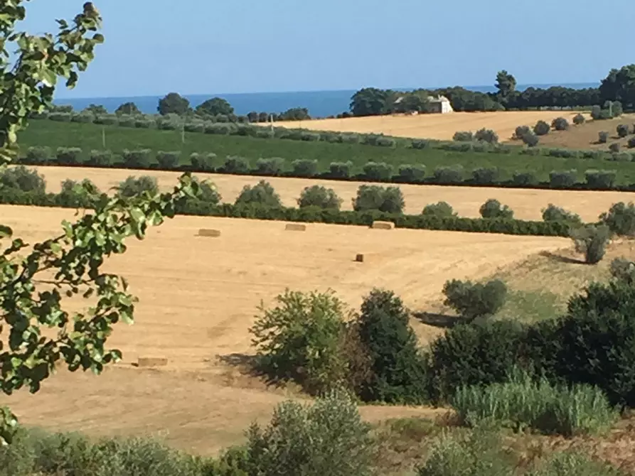 Immagine 4 di Terreno edificabile in vendita  a Colonnella