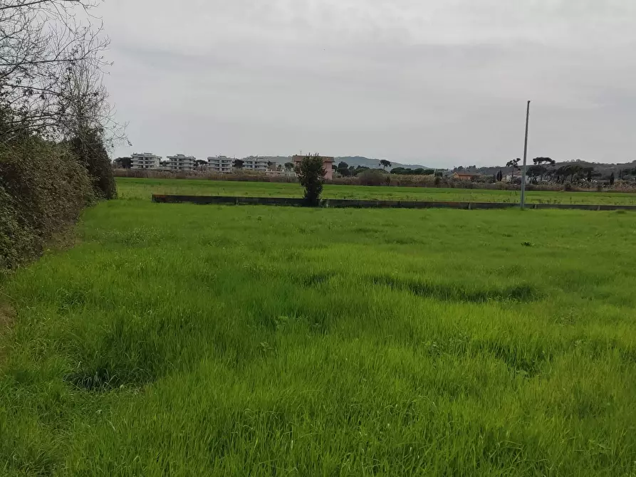 Immagine 4 di Terreno industriale in vendita  a Martinsicuro