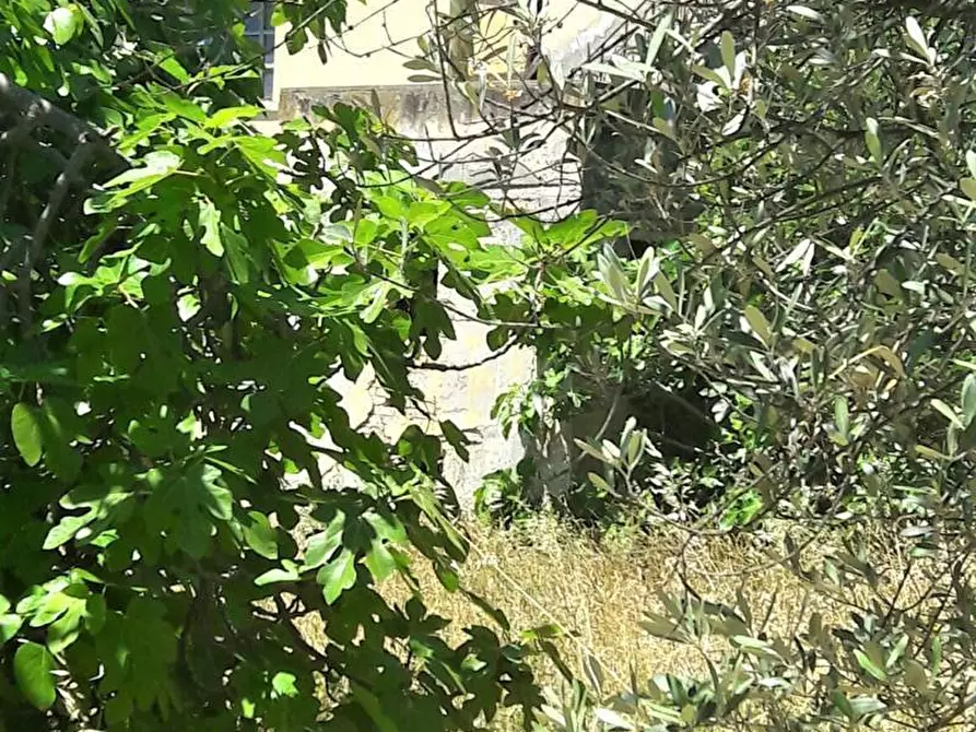 Immagine 4 di Rustico / casale in vendita  in Contrada Civita a Colonnella