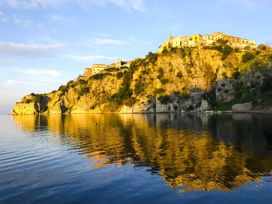 Immagine 4 di Attività commerciale in vendita  a Agropoli