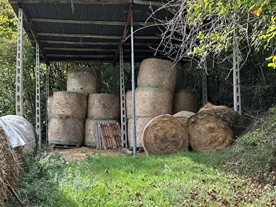 Immagine 10 di Rustico / casale in vendita  a Ripatransone
