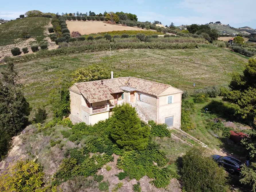 Immagine 5 di Terreno edificabile in vendita  a Monteprandone