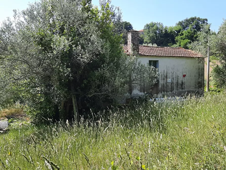 Immagine 1 di Casa indipendente in vendita  a Ripatransone